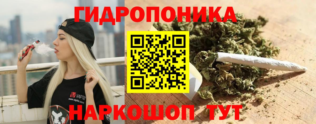 Бошки Шишки VHQ Туапсе